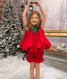 Овощи/фрукты/грибы/растения — Клубника — фото