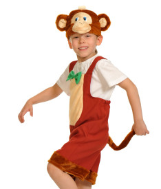 Животные/птицы/насекомые/морские — Обезьянка — фото