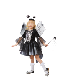 Животные/птицы/насекомые/морские — Паучиха — фото