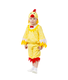 Животные/птицы/насекомые/морские — Цыпленок — фото