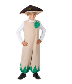 Овощи/фрукты/грибы/растения — Гриб — фото