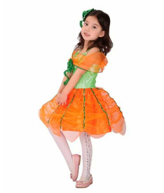 Овощи/фрукты/грибы/растения — Тыква — фото