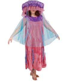 Животные/птицы/насекомые/морские — Медуза — фото