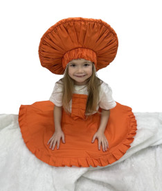 Овощи/фрукты/грибы/растения — Гриб Лисичка — фото