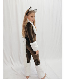 Животные/птицы/насекомые/морские — Кошечка — фото