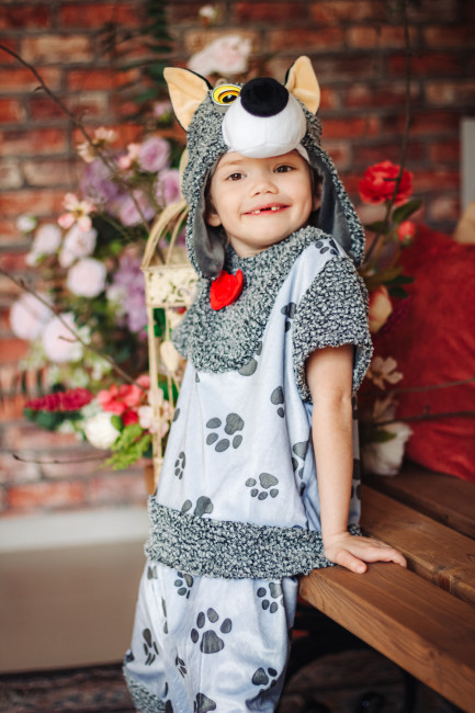 Волк — фото-609_1