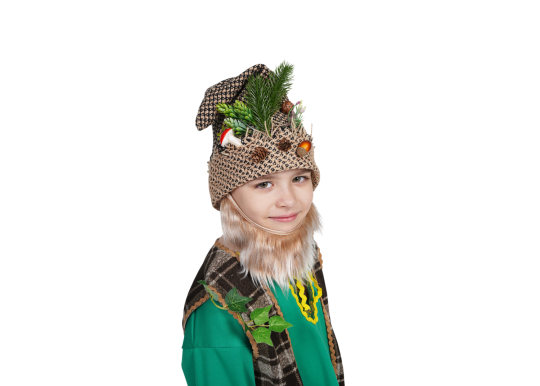 Лесовичок — фото-603_2