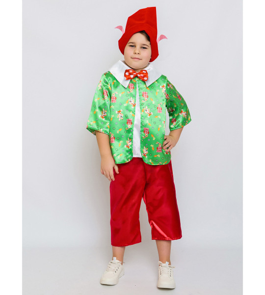 Гном Вася — фото-612_1