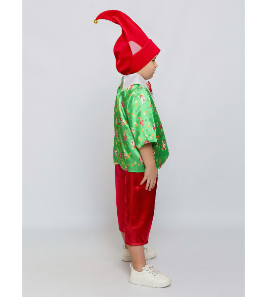 Гном Вася — фото-612_2