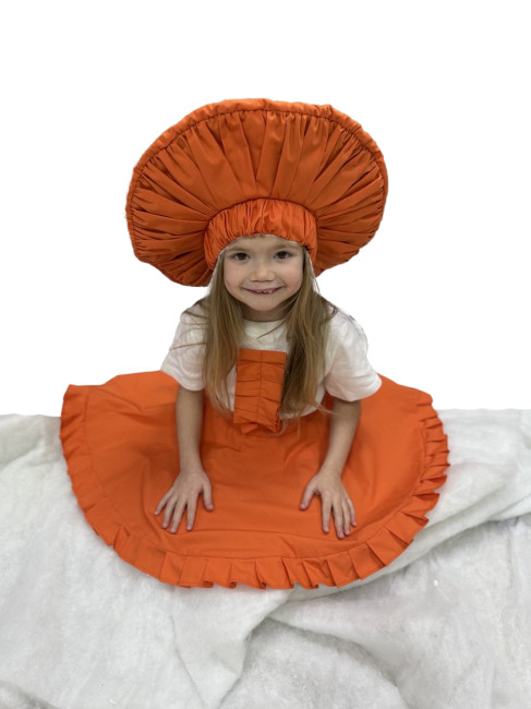 Гриб Лисичка — фото-610_1